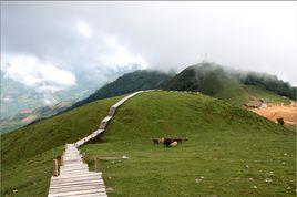 黑河老坡 黑河老坡