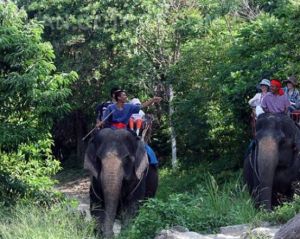 杜英沙那國家森林公園
