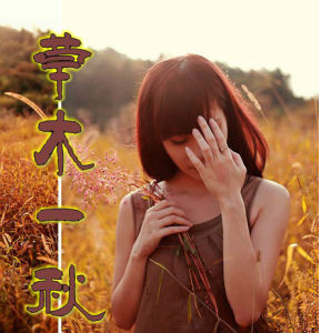 草木一秋
