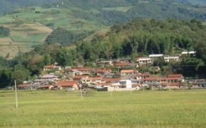 芒留自然村 芒留自然村