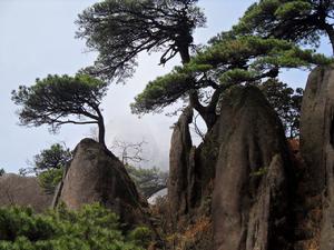 三清山--神仙隨便青松自然