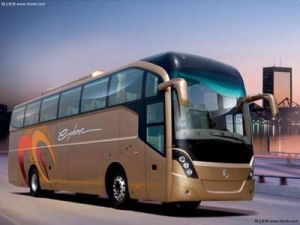 廈門金旅開拓者 廈門金旅開拓者