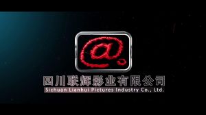 聯輝影視傳媒有限責任公司 聯輝影視傳媒有限責任公司