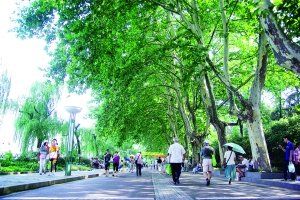 綠評制度 綠評制度