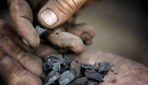 與土壤一樣年代古老的生物炭