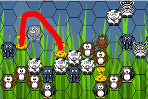 動物園的夥伴 動物園的夥伴