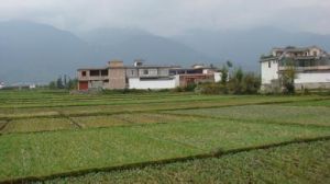 磻溪村委會 磻溪村委會