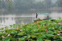 穎州西湖國家濕地公園