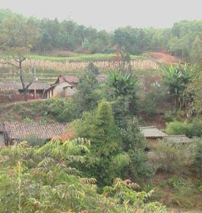 小菁大田村 小菁大田村