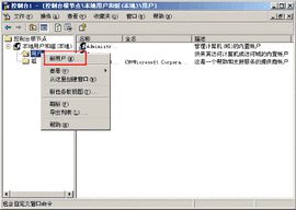 本地用戶和組 本地用戶和組