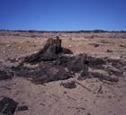 阿克塞爾海伯格島 阿克塞爾海伯格島