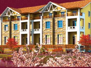 杏花水岸 杏花水岸