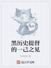 黑歷史提督的一己之見