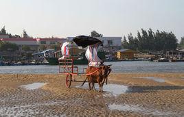 光村銀灘 光村銀灘