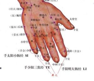 十二井穴[中醫術語]