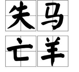 失馬亡羊 失馬亡羊