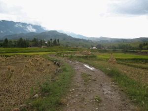 塔頭自然村 塔頭自然村