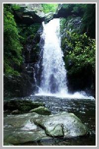 褒河森林公園 褒河森林公園