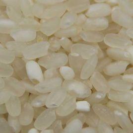 蘇常武育粳香型軟米 蘇常武育粳香型軟米