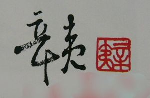 辛荑[陶瓷工藝師]