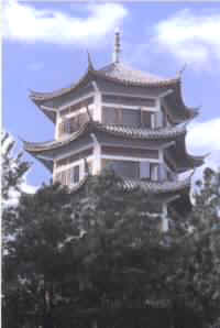 碧雲山野公園 碧雲山野公園