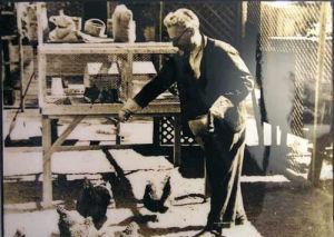 列夫·達維多維奇·托洛茨基