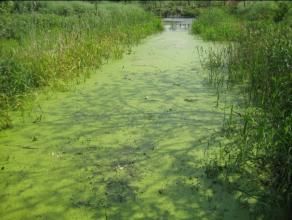 太陽殿村 太陽殿村