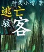 逃亡駭客 逃亡駭客