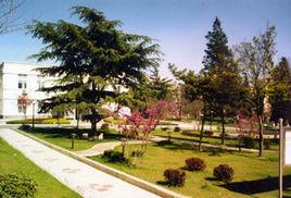 山東省青島第十七中學 山東省青島第十七中學