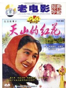 《天山紅花》