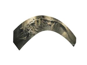 晚三疊世早期周氏黔魚龍之三 晚三疊世早期周氏黔魚龍之三