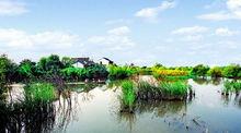 重慶市豐都龍河國家濕地公園