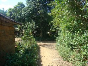 鮑家村自然村 鮑家村自然村