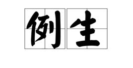 例生 例生
