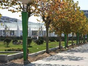 日照職業技術學院校園一角