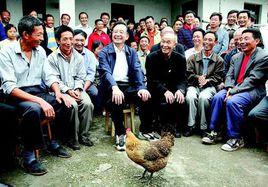 桂花古鎮 桂花古鎮