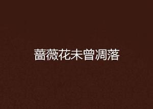 薔薇花未曾凋落