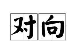 對向 對向