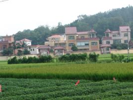 水車村[廣西玉林市興業縣沙塘鎮下轄村]