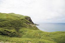 夏日，被各種高山植被覆蓋的禮文島