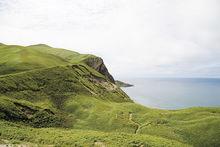 夏日，被各種高山植被覆蓋的禮文島
