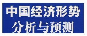 2009年中國經濟形勢分析與預測
