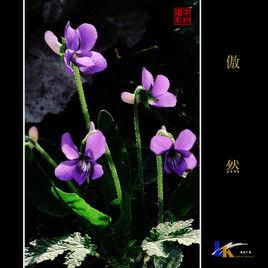 傲然[漢語辭彙]