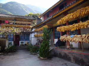 西箐一村 西箐一村