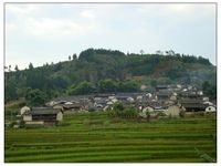 秧田頭自然村 秧田頭自然村