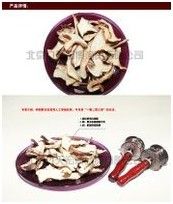 九天宏博 九天宏博