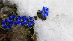 攝影——萍水…