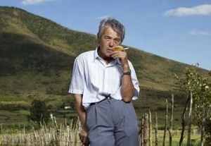 宣誓處女 宣誓處女