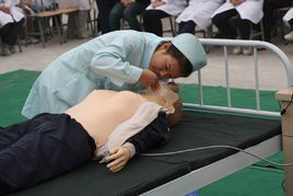 解剖學基礎 解剖學基礎