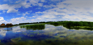 溱湖國家濕地公園